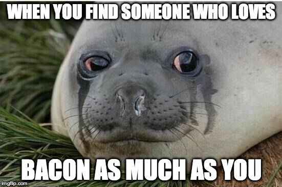 Only way I could love you more is if you were wrapped in bacon! | WHEN YOU FIND SOMEONE WHO LOVES; BACON AS MUCH AS YOU | image tagged in crying seal,bacon,love,cry | made w/ Imgflip meme maker