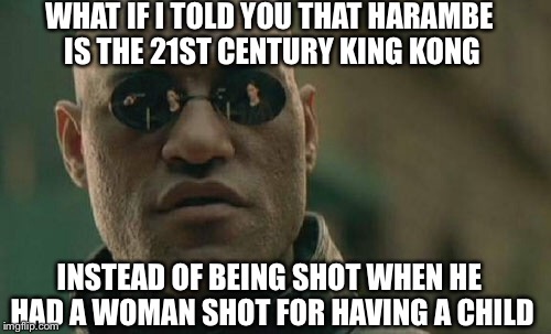 Matrix Morpheus |  WHAT IF I TOLD YOU THAT HARAMBE IS THE 21ST CENTURY KING KONG; INSTEAD OF BEING SHOT WHEN HE HAD A WOMAN SHOT FOR HAVING A CHILD | image tagged in memes,matrix morpheus | made w/ Imgflip meme maker