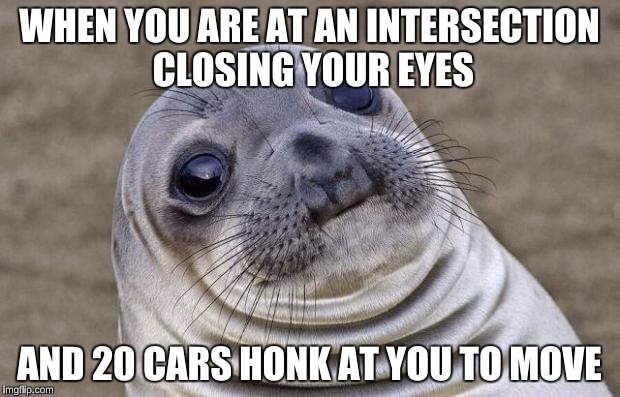 I actually KNEW that intersection was the longest red light, so I decided to take a snooze. | WHEN YOU ARE AT AN INTERSECTION CLOSING YOUR EYES; AND 20 CARS HONK AT YOU TO MOVE | image tagged in memes,awkward moment sealion | made w/ Imgflip meme maker