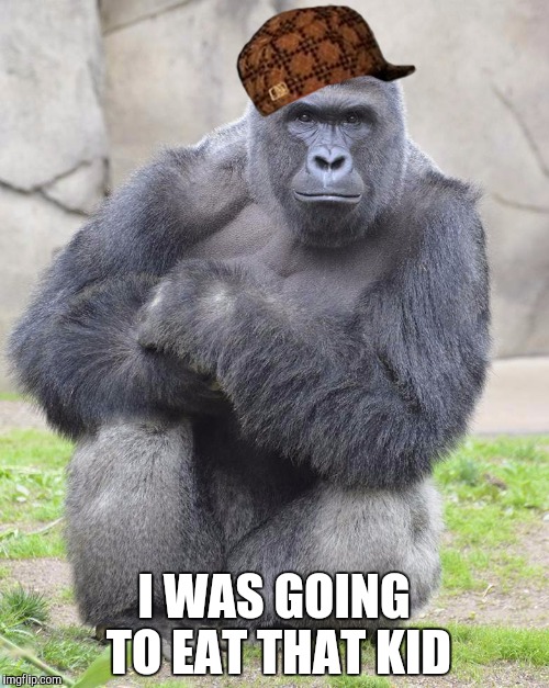Harambe | I WAS GOING TO EAT THAT KID | image tagged in harambe,scumbag | made w/ Imgflip meme maker