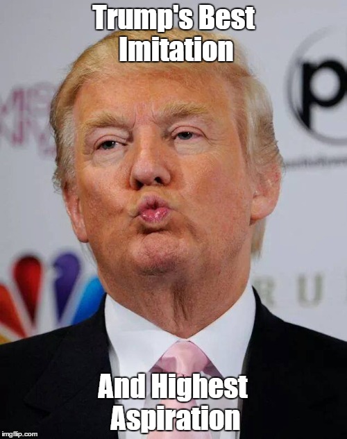 Trump's Best Imitation And Highest Aspiration | made w/ Imgflip meme maker