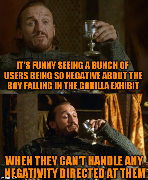 In fact, most memes on the FP are troll-ish in nature | IT'S FUNNY SEEING A BUNCH OF USERS BEING SO NEGATIVE ABOUT THE BOY FALLING IN THE GORILLA EXHIBIT; WHEN THEY CAN'T HANDLE ANY NEGATIVITY DIRECTED AT THEM | image tagged in memes,game of thrones,bronnin' ain't easy,topical trivia | made w/ Imgflip meme maker