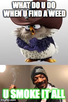 snoop dogs advice | WHAT DO U DO WHEN U FIND A WEED; U SMOKE IT ALL | image tagged in angry birds meme,snoop dog meme | made w/ Imgflip meme maker