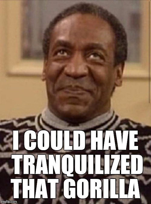 Bill cosby |  I COULD HAVE TRANQUILIZED THAT GORILLA | image tagged in bill cosby | made w/ Imgflip meme maker