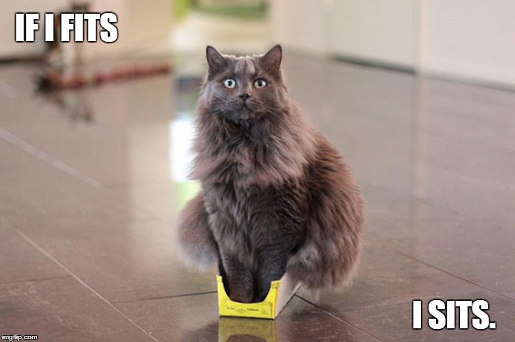 IF I FITS; I SITS. | made w/ Imgflip meme maker