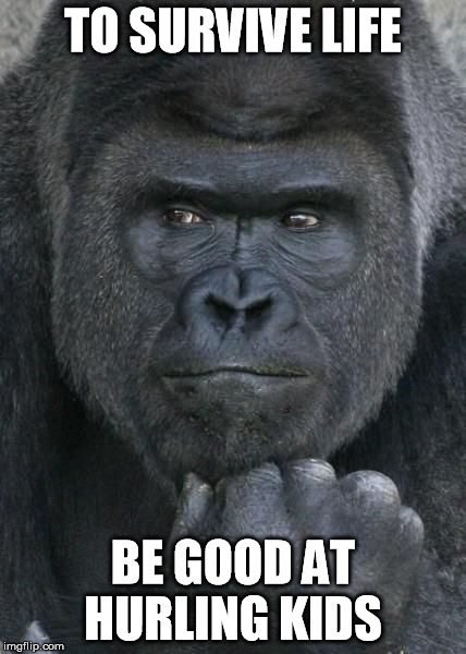 Handsome Gorilla | TO SURVIVE LIFE; BE GOOD AT HURLING KIDS | image tagged in handsome gorilla | made w/ Imgflip meme maker