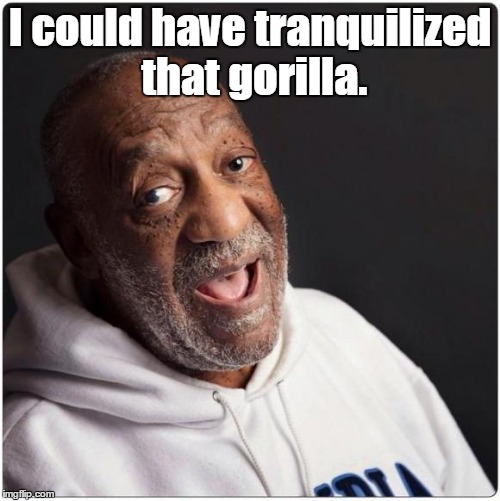 Leave it to a professional | I could have tranquilized that gorilla. | image tagged in bill cosby admittance,funny meme | made w/ Imgflip meme maker