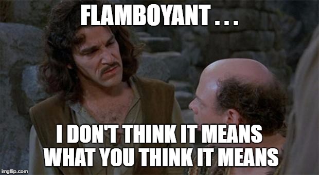Princess Bride | FLAMBOYANT . . . I DON'T THINK IT MEANS WHAT YOU THINK IT MEANS | image tagged in princess bride | made w/ Imgflip meme maker