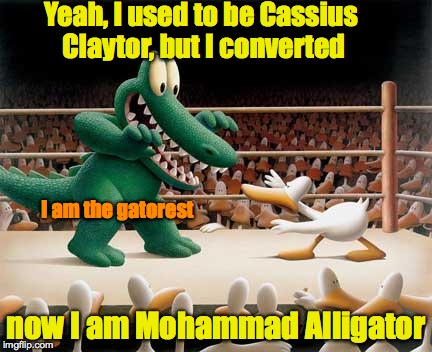 It's gonna be one of those pure silly days | Yeah, I used to be Cassius Claytor, but I converted; I am the gatorest; now I am Mohammad Alligator | image tagged in mohammad,alligator,boxing | made w/ Imgflip meme maker