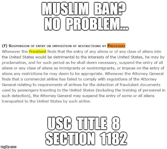 MUSLIM  BAN? 
NO  PROBLEM... USC  TITLE  8  SECTION  1182 | image tagged in The_Donald | made w/ Imgflip meme maker