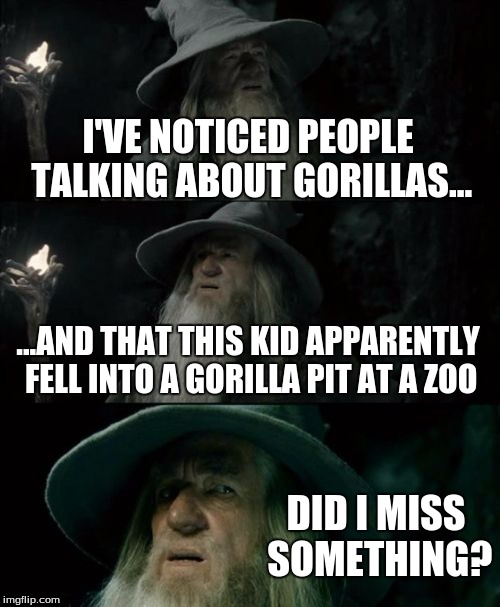 Confused Gandalf | I'VE NOTICED PEOPLE TALKING ABOUT GORILLAS... ...AND THAT THIS KID APPARENTLY FELL INTO A GORILLA PIT AT A ZOO; DID I MISS SOMETHING? | image tagged in memes,confused gandalf | made w/ Imgflip meme maker