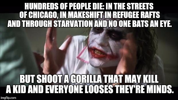And everybody loses their minds | HUNDREDS OF PEOPLE DIE: IN THE STREETS OF CHICAGO, IN MAKESHIFT IN REFUGEE RAFTS AND THROUGH STARVATION AND NO ONE BATS AN EYE. BUT SHOOT A GORILLA THAT MAY KILL A KID AND EVERYONE LOOSES THEY'RE MINDS. | image tagged in memes,and everybody loses their minds | made w/ Imgflip meme maker
