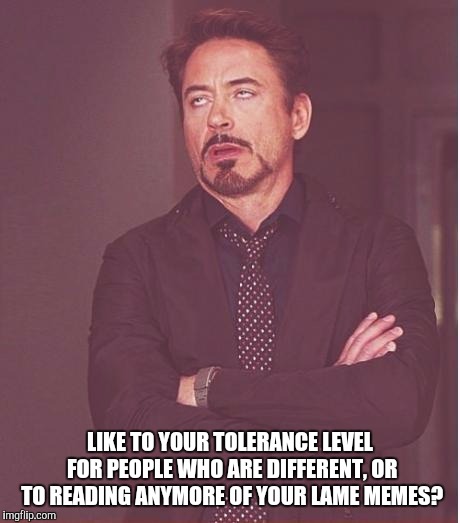 Face You Make Robert Downey Jr Meme | LIKE TO YOUR TOLERANCE LEVEL FOR PEOPLE WHO ARE DIFFERENT, OR TO READING ANYMORE OF YOUR LAME MEMES? | image tagged in memes,face you make robert downey jr | made w/ Imgflip meme maker