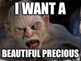 Gollum lord of the rings | I WANT A; BEAUTIFUL PRECIOUS | image tagged in gollum lord of the rings | made w/ Imgflip meme maker