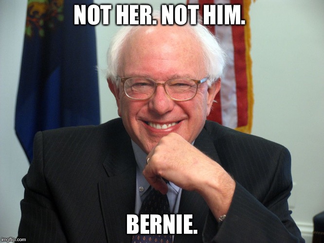 Vote Bernie Sanders | NOT HER. NOT HIM. BERNIE. | image tagged in vote bernie sanders | made w/ Imgflip meme maker