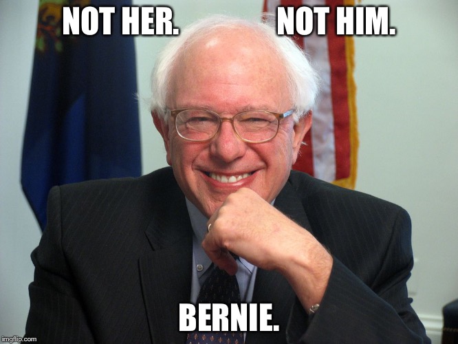 Vote Bernie Sanders | NOT HER.                NOT HIM. BERNIE. | image tagged in vote bernie sanders | made w/ Imgflip meme maker