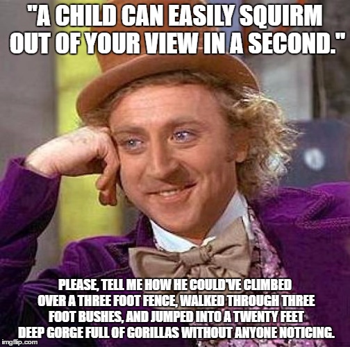 Sorry this one was long, I just needed to make this point. | "A CHILD CAN EASILY SQUIRM OUT OF YOUR VIEW IN A SECOND."; PLEASE, TELL ME HOW HE COULD'VE CLIMBED OVER A THREE FOOT FENCE, WALKED THROUGH THREE FOOT BUSHES, AND JUMPED INTO A TWENTY FEET DEEP GORGE FULL OF GORILLAS WITHOUT ANYONE NOTICING. | image tagged in memes,creepy condescending wonka,gorilla boy | made w/ Imgflip meme maker