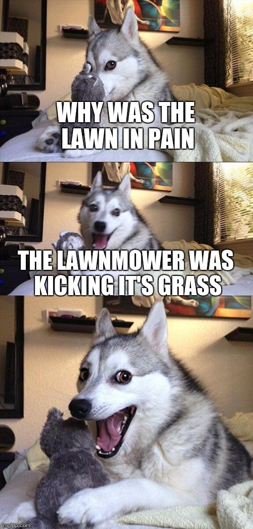 It got it's Grass handed to it! | WHY WAS THE LAWN IN PAIN; THE LAWNMOWER WAS KICKING IT'S GRASS | image tagged in memes,bad pun dog | made w/ Imgflip meme maker
