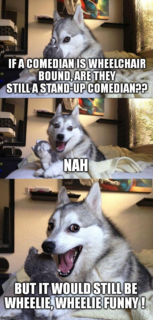 bad pun, poor taste | IF A COMEDIAN IS WHEELCHAIR BOUND, ARE THEY STILL A STAND-UP COMEDIAN?? NAH; BUT IT WOULD STILL BE WHEELIE, WHEELIE FUNNY ! | image tagged in memes,bad pun dog | made w/ Imgflip meme maker