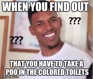 Nick Young | WHEN YOU FIND OUT; THAT YOU HAVE TO TAKE A POO IN THE COLORED TOILETS | image tagged in nick young | made w/ Imgflip meme maker
