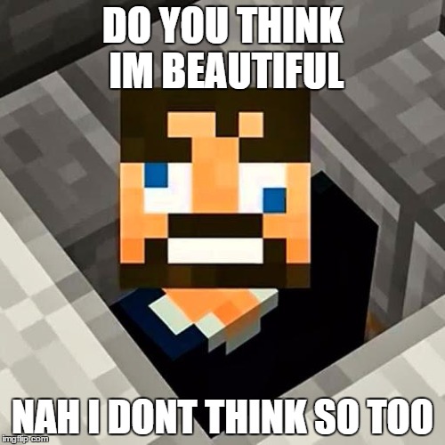 Ssundee | DO YOU THINK IM BEAUTIFUL; NAH I DONT THINK SO TOO | image tagged in ssundee | made w/ Imgflip meme maker