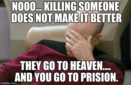 Captain Picard Facepalm Meme | NOOO... KILLING SOMEONE DOES NOT MAKE IT BETTER; THEY GO TO HEAVEN.... AND YOU GO TO PRISION. | image tagged in memes,captain picard facepalm | made w/ Imgflip meme maker