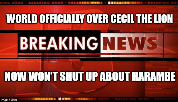 Someone make this go away. | WORLD OFFICIALLY OVER CECIL THE LION; NOW WON'T SHUT UP ABOUT HARAMBE | image tagged in breaking news,harambe,cecil the lion | made w/ Imgflip meme maker