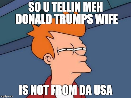 Futurama Fry | SO U TELLIN MEH DONALD TRUMPS WIFE; IS NOT FROM DA USA | image tagged in memes,futurama fry | made w/ Imgflip meme maker