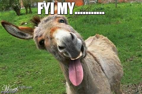 Laughing Donkey |  FYI MY........... | image tagged in laughing donkey | made w/ Imgflip meme maker