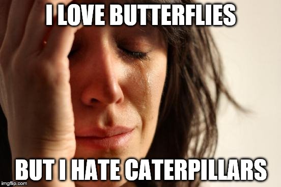 First World Problems | I LOVE BUTTERFLIES; BUT I HATE CATERPILLARS | image tagged in memes,first world problems,butterflies,caterpillars | made w/ Imgflip meme maker