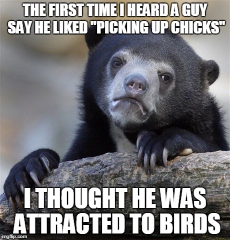 Confession Bear Meme | THE FIRST TIME I HEARD A GUY SAY HE LIKED "PICKING UP CHICKS"; I THOUGHT HE WAS ATTRACTED TO BIRDS | image tagged in memes,confession bear | made w/ Imgflip meme maker