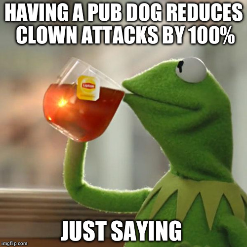 But That's None Of My Business Meme | HAVING A PUB DOG REDUCES CLOWN ATTACKS BY 100%; JUST SAYING | image tagged in memes,but thats none of my business,kermit the frog | made w/ Imgflip meme maker