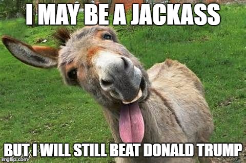 Laughing Donkey | I MAY BE A JACKASS; BUT I WILL STILL BEAT DONALD TRUMP | image tagged in laughing donkey | made w/ Imgflip meme maker