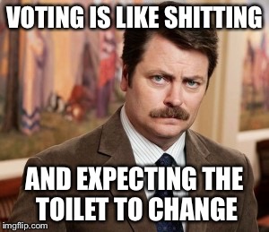 Ron Swanson Meme | VOTING IS LIKE SHITTING; AND EXPECTING THE TOILET TO CHANGE | image tagged in memes,ron swanson | made w/ Imgflip meme maker
