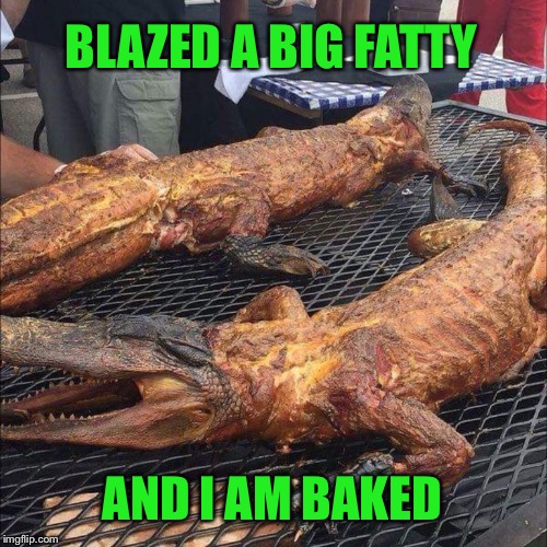 It's 4:20 somewhere.  See ya later alligator | BLAZED A BIG FATTY; AND I AM BAKED | image tagged in memes,funny,420,gators | made w/ Imgflip meme maker