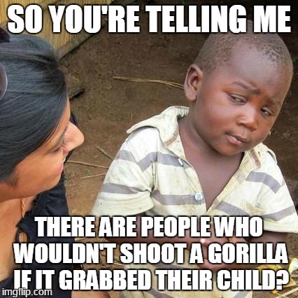 So you're telling me... | SO YOU'RE TELLING ME; THERE ARE PEOPLE WHO WOULDN'T SHOOT A GORILLA IF IT GRABBED THEIR CHILD? | image tagged in memes,third world skeptical kid,harambe | made w/ Imgflip meme maker