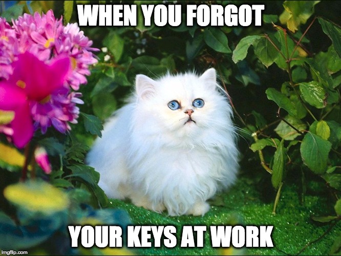 WHEN YOU FORGOT; YOUR KEYS AT WORK | made w/ Imgflip meme maker