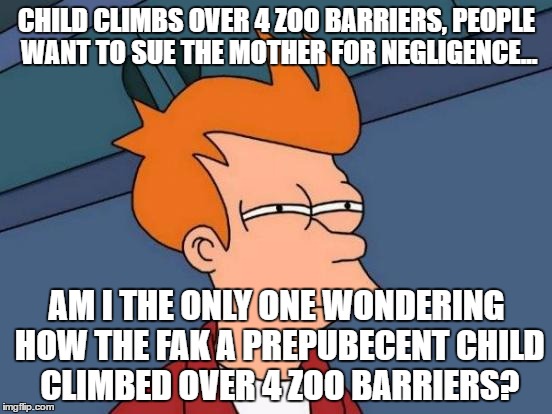 I think negligence isn't completely the mom's doing here... |  CHILD CLIMBS OVER 4 ZOO BARRIERS, PEOPLE WANT TO SUE THE MOTHER FOR NEGLIGENCE... AM I THE ONLY ONE WONDERING HOW THE FAK A PREPUBECENT CHILD CLIMBED OVER 4 ZOO BARRIERS? | image tagged in memes,futurama fry | made w/ Imgflip meme maker