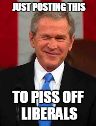 Smile! | JUST POSTING THIS; TO PISS OFF LIBERALS | image tagged in memes,george bush,liberals | made w/ Imgflip meme maker