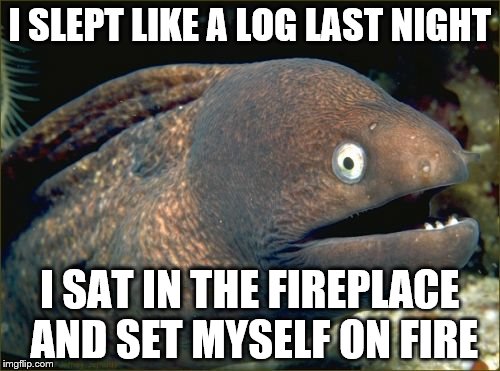 Bad Joke Eel Meme | I SLEPT LIKE A LOG LAST NIGHT; I SAT IN THE FIREPLACE AND SET MYSELF ON FIRE | image tagged in memes,bad joke eel | made w/ Imgflip meme maker