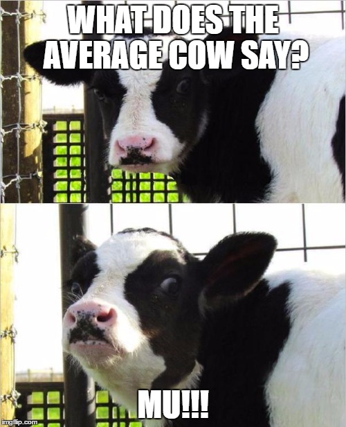 cows | WHAT DOES THE AVERAGE COW SAY? MU!!! | image tagged in cows | made w/ Imgflip meme maker