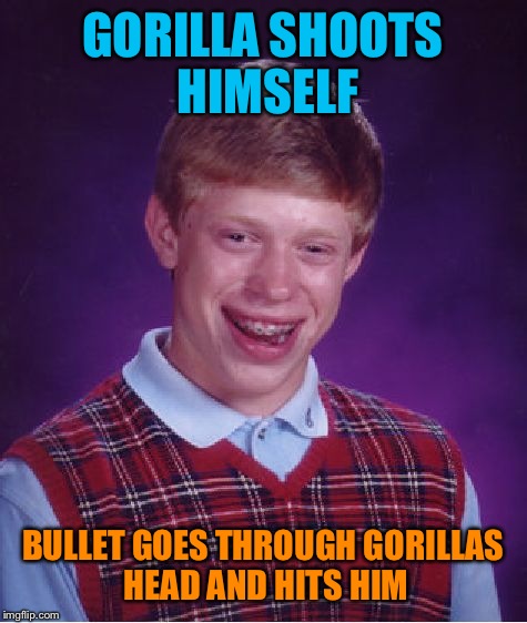 Bad Luck Brian Meme | GORILLA SHOOTS HIMSELF BULLET GOES THROUGH GORILLAS HEAD AND HITS HIM | image tagged in memes,bad luck brian | made w/ Imgflip meme maker