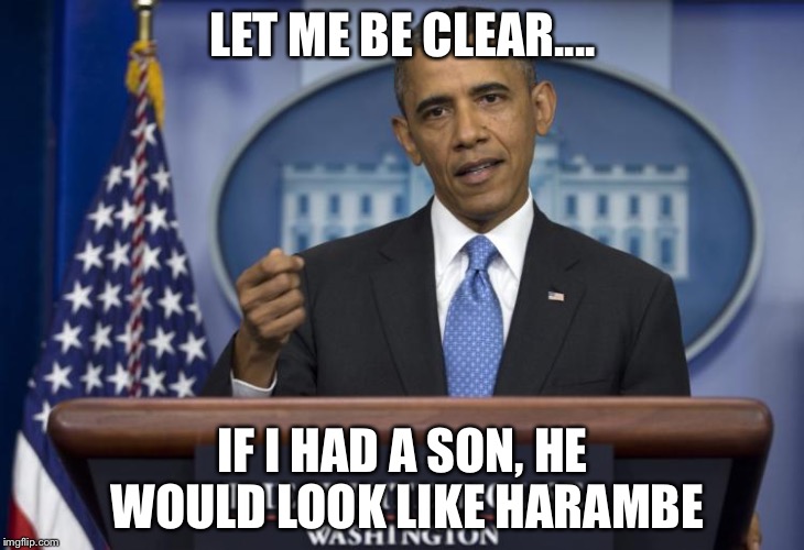 LET ME BE CLEAR.... IF I HAD A SON, HE WOULD LOOK LIKE HARAMBE | image tagged in obama on harambe | made w/ Imgflip meme maker