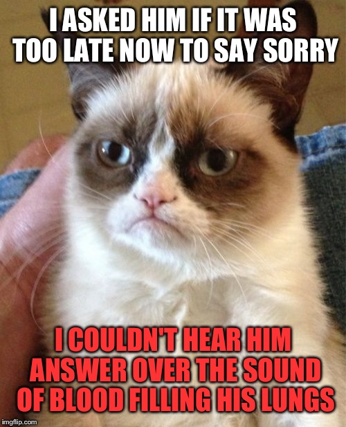 Grumpy Cat Meme | I ASKED HIM IF IT WAS TOO LATE NOW TO SAY SORRY I COULDN'T HEAR HIM ANSWER OVER THE SOUND OF BLOOD FILLING HIS LUNGS | image tagged in memes,grumpy cat | made w/ Imgflip meme maker