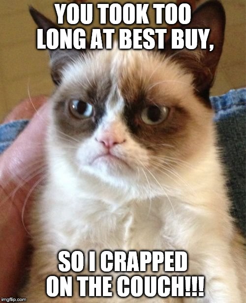 Grumpy Cat | YOU TOOK TOO LONG AT BEST BUY, SO I CRAPPED ON THE COUCH!!! | image tagged in memes,grumpy cat | made w/ Imgflip meme maker