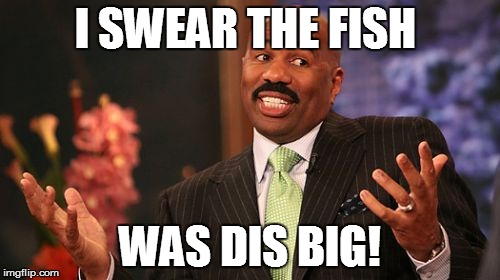 I SWEAR THE FISH; WAS DIS BIG! | image tagged in memes,steve harvey | made w/ Imgflip meme maker