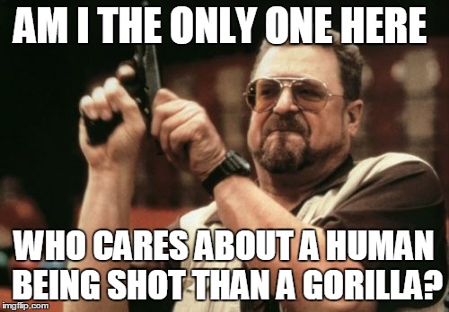 AM I THE ONLY ONE HERE WHO CARES ABOUT A HUMAN BEING SHOT THAN A GORILLA? | image tagged in memes,am i the only one around here | made w/ Imgflip meme maker