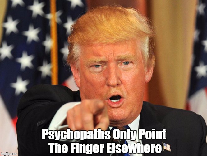 Psychopaths Only Point The Finger Elsewhere | made w/ Imgflip meme maker