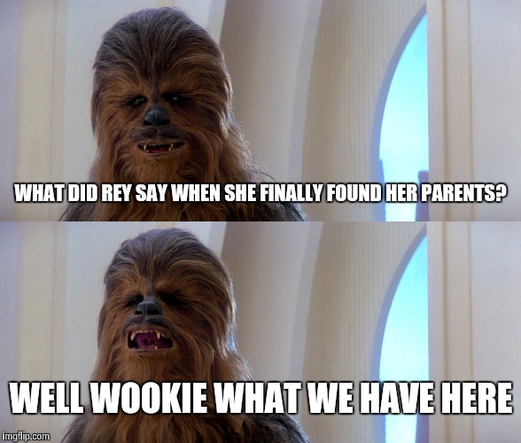 chewbacca | WHAT DID REY SAY WHEN SHE FINALLY FOUND HER PARENTS? WELL WOOKIE WHAT WE HAVE HERE | image tagged in chewbacca | made w/ Imgflip meme maker