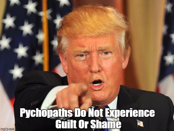 "Psychopaths Experience Neither Guilt Nor Shame" | Pychopaths Do Not Experience Guilt Or Shame | image tagged in trump,psycopath,sociopath,guilt shame,shameless trump | made w/ Imgflip meme maker